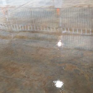 WhatsApp Image 2023-01-27 at 10.41.56